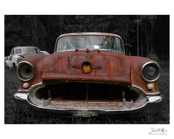 An old abandoned Oldsmobile 88 found alongside a highway in northern Wake County, North Carolina.