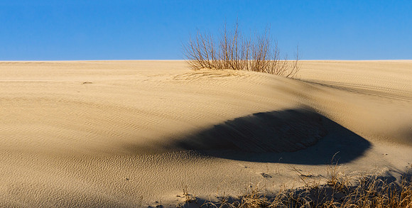 A sudden drop in a dune casts a deep shadow sort of reflecting the clump of grass further up the dune.