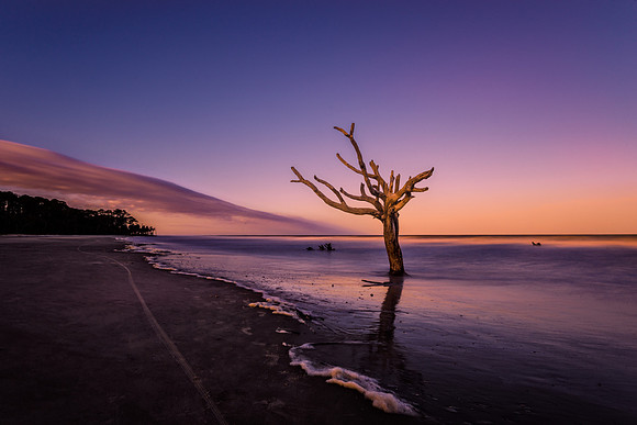 A different angle of the lone standing ghost tree as the day reaches the blue hour.