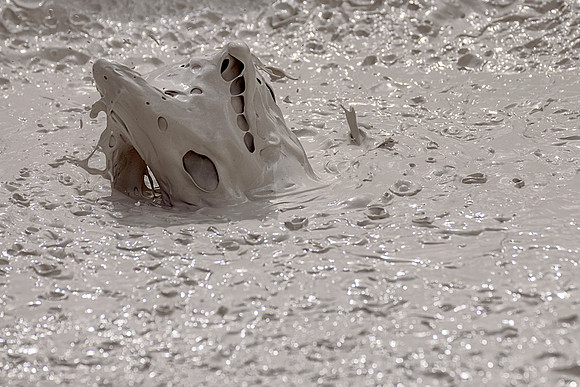 An abstract image at the mud pots near Artist's Paintpots in Yellowstone National Park. In this particular photo it slightly resembles a lemon shark breaking the surface with a catch in its mouth.