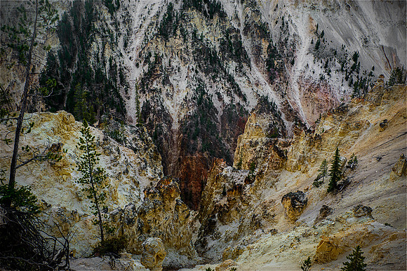 A look down inside the canyon just downriver from Yosemite Falls. Even though this is technically of a landscape; the way the colors mottle the scene. It's a beautiful smattering of earth tones punct