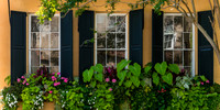 Beautiful window boxes on a traditional and historic home in downtown Charleston, South Carolina.