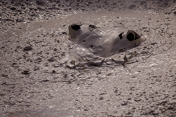 Mudpots at Artists' Paintpots in Yellowstone National Park. This particular bubble appears like a hippo emerging from the mud.