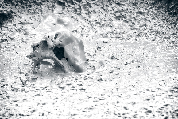 Another abstract image taken at mud pots near Artists' Paintpots in Yellowstone National Park. I could help be reminded of something from Walking Dead with this one.