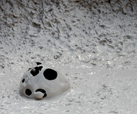Probably the last or second to last shot from the mud pots at YNP.  This particular shot immediately reminded me Charlie Brown's Halloween costume; the sheet with all the eye holes cut into it.