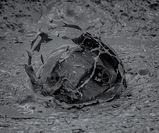 Another intriguing bubble in the mudpots at Yellowstone. Just to give you the idea of scale this buble is actually about the size of one of those cheap giant beachballs you see people batting around